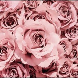 Meet your Posher, Cassandra